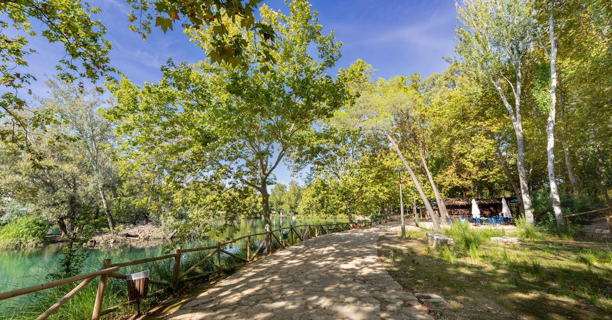 after we collided anna todd