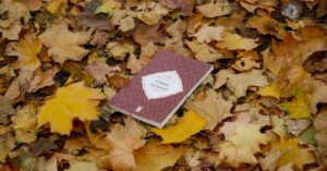 technical writer qualifications